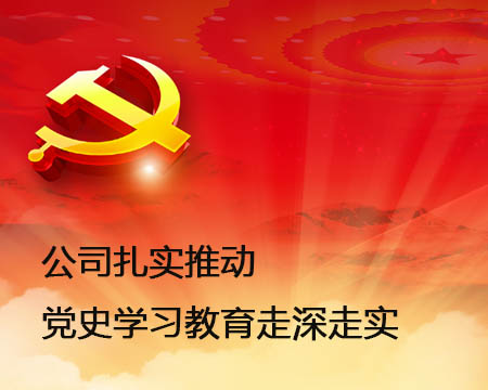 公司扎實(shí)推動(dòng)黨史學(xué)習(xí)教育走深走實(shí)