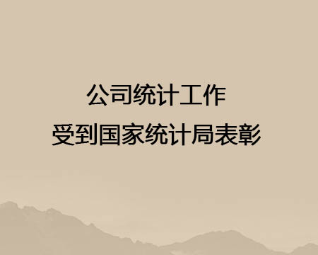 公司統(tǒng)計工作受到國家統(tǒng)計局表彰
